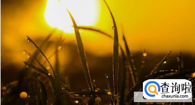 中医为什么说冬天不适合跑步