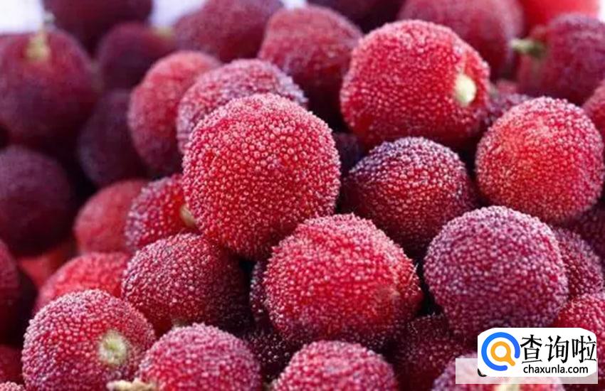 新鲜杨梅的购买技巧有哪些