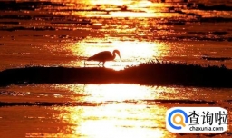 刁难过你的人教会你的道理？