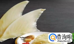 鱼翅有没有营养