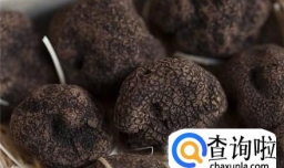 松露鉴别真假的方法