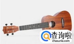 初学者如何挑选尤克里里