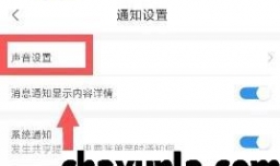 如何允许网上国网在锁屏状态下也可以收到通知