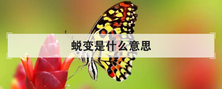 蜕变是什么意思