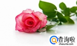 怎么陪女朋友跨年？