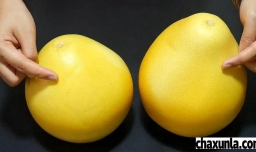怎么挑选柚子