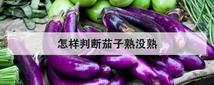 怎样判断茄子熟没熟