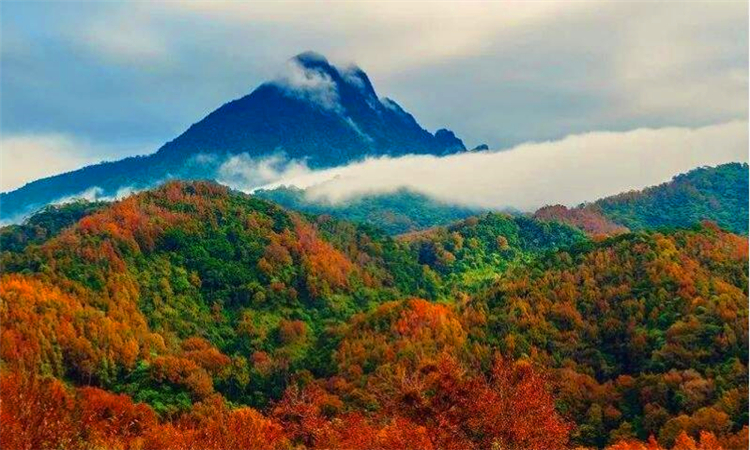 五指山在哪里