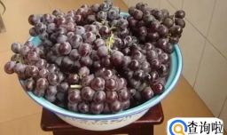 怎样自己在家酿好喝的葡萄酒？