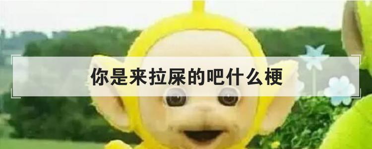 你是来拉屎的吧什么梗