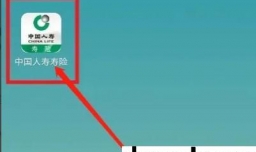 怎样输入身份证查询保单