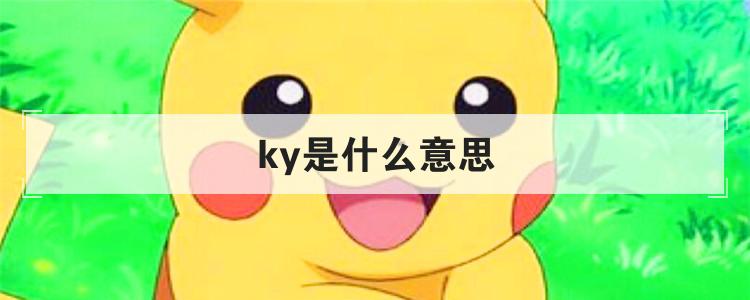 ky是什么意思