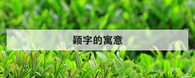颖字的寓意