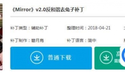 mirror去兔子补丁怎么用