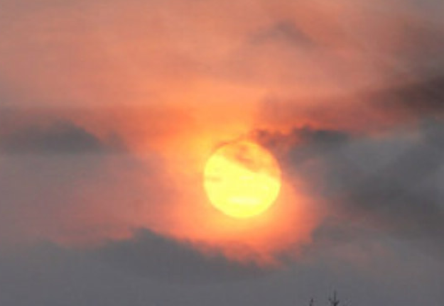 日字加一笔有哪些字