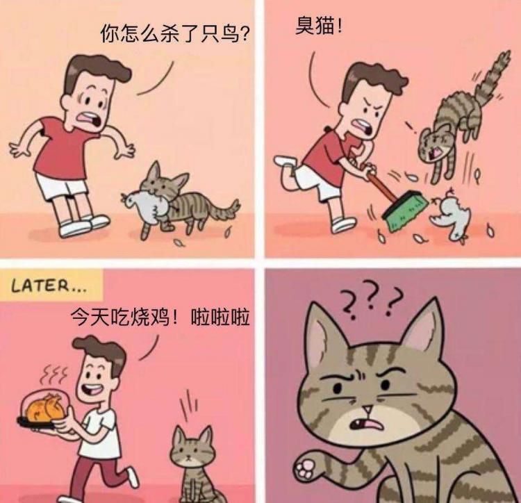 双标是什么意思