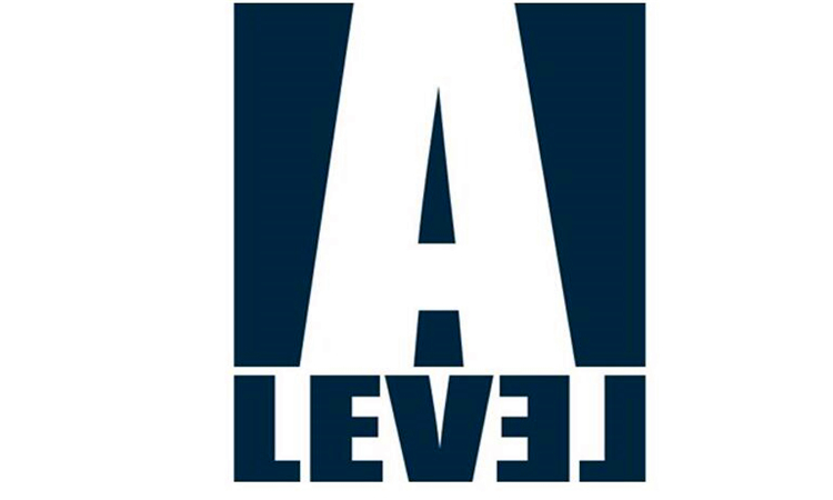 level是什么意思