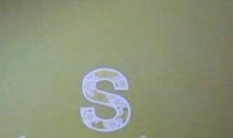 s'是什么英文的缩写？