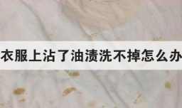 衣服上沾了油渍洗不掉怎么办