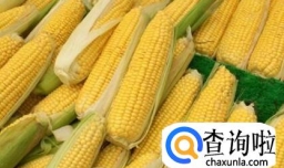 新鲜玉米棒的营养吃法及冰冻保存方法