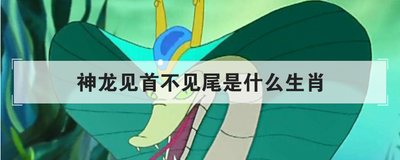 神龙见首不见尾是什么生肖