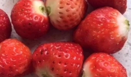 正宗冰糖葫芦的制作方法,正宗冰糖葫芦配方