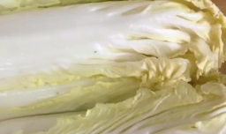 凉拌白菜丝好吃的做法