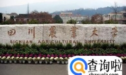 四川农业大学怎么样