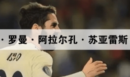 弗朗西斯科·罗曼·阿拉尔孔·苏亚雷斯（个人简介）