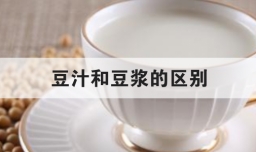 豆汁和豆浆的区别