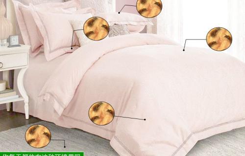 如何分辨床上是否有螨虫