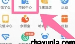 河南医保如何在手机上缴费