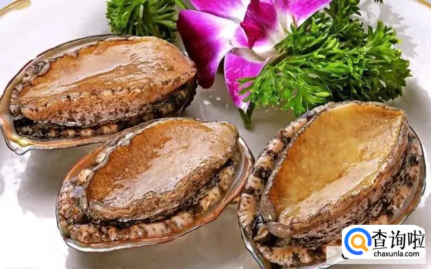 吃鲍鱼有哪些好处