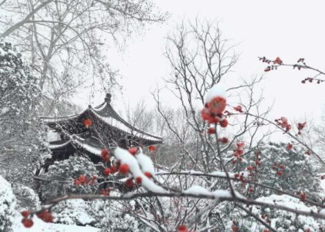 梅须逊雪三分白是写什么季节