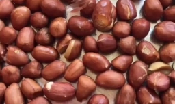 怎样自己在家做花生酥糖？