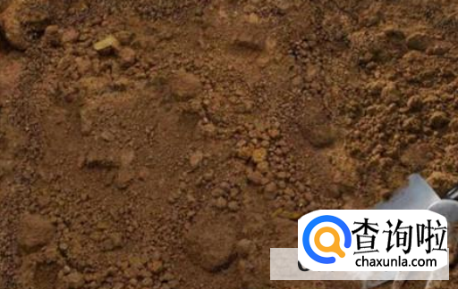 栀子花该如何养