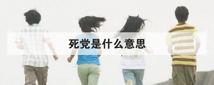 死党是什么意思