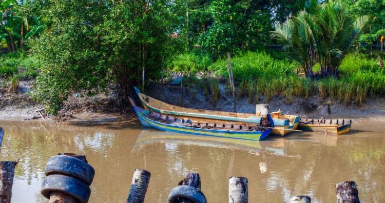 马来人是哪里人
