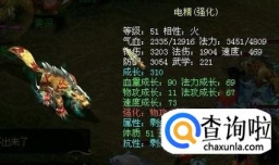 新版问道如何强化宠物宝宝