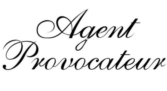 女士内衣品牌排行榜前十名