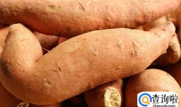 腹胀不能吃的食物有哪些