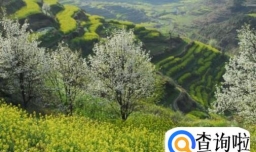 最适合春季踏青的城市有哪些？