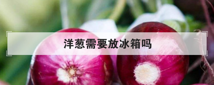 洋葱需要放冰箱吗