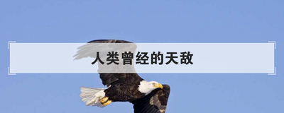 人类曾经的天敌