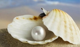 三种常见的仿真珍珠和天然珍珠鉴别方法