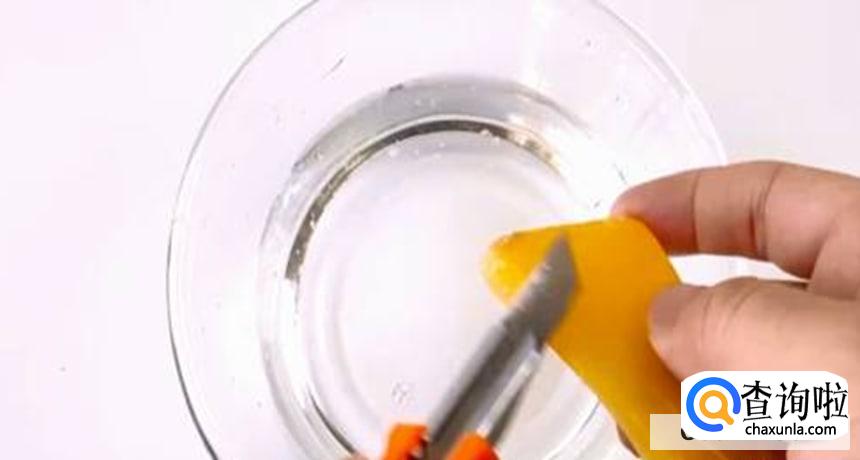 如何去除家里的蚂蚁