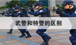 武警和特警的区别