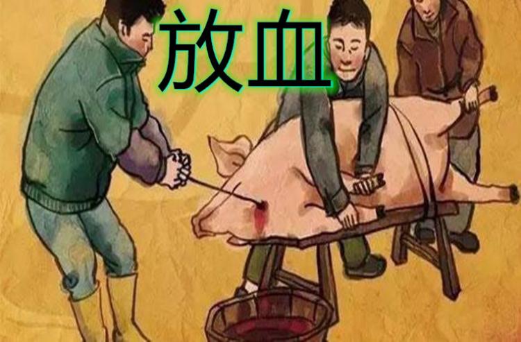 杀猪怎么杀