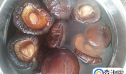 香菇简单小炒怎么做