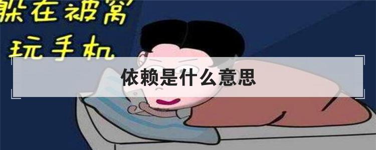 依赖是什么意思